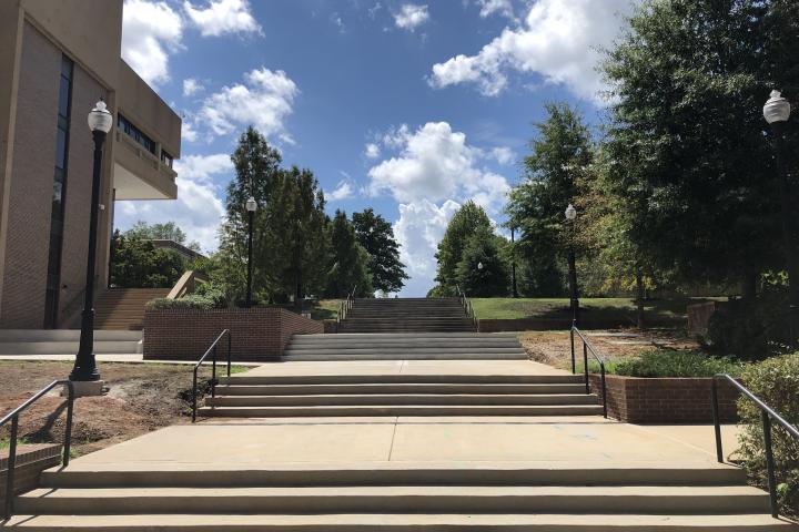 Bottom of Cardiac Hill Facing the top