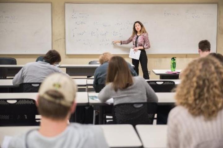 Professor teaching Math Class