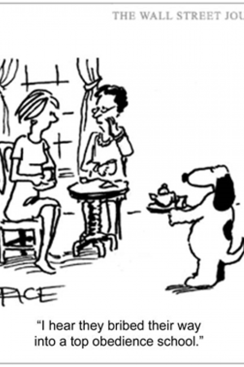 Rice Cartoon Rice Cartoon
