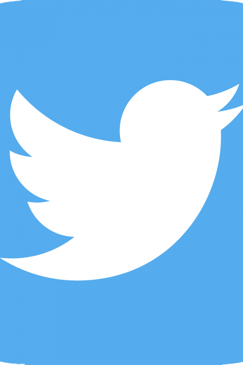 Twitter Logo Medium Rounded