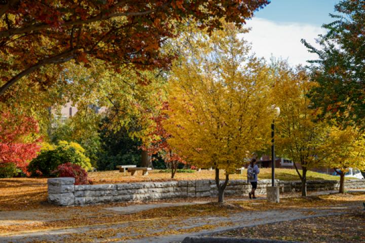 Campus Fall