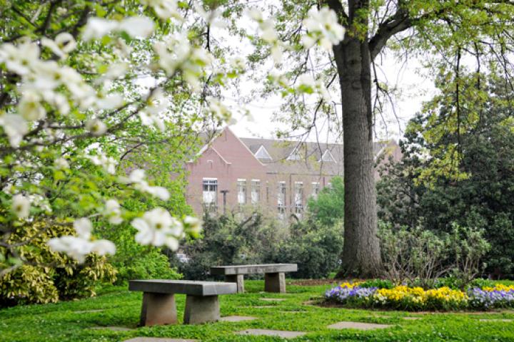 Campus Spring