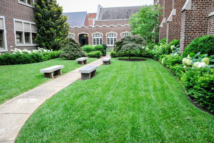 Campus Summer Campus Summer