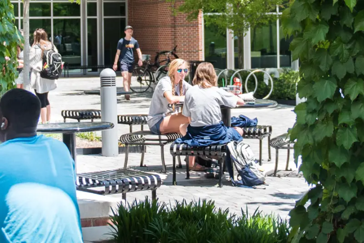 Students working outside