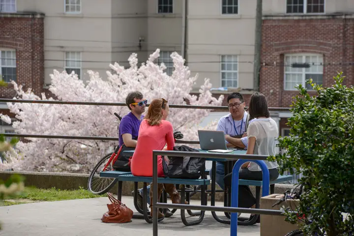 students studying outside