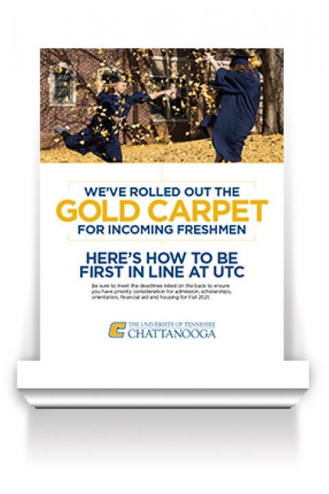 gold carpet freshman