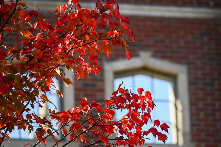 Campus Fall