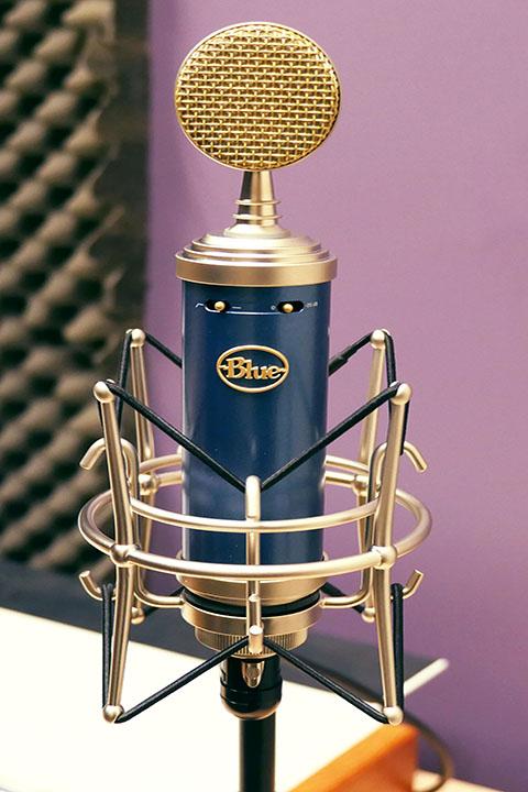 Blue Bluebird XLR Microphone