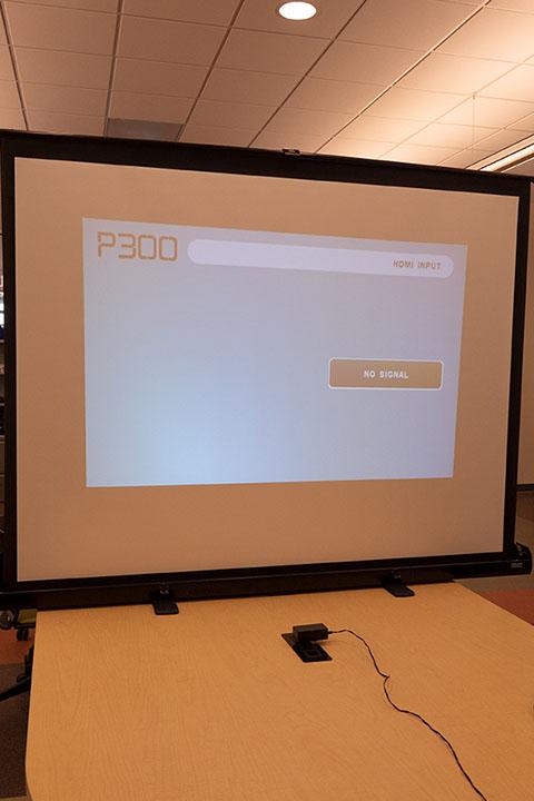 Large Projector Screen