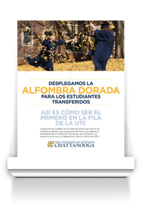 Gold Carpet Flyer for Transfer Spanish Gold Carpet Flyer for Transfer Spanish