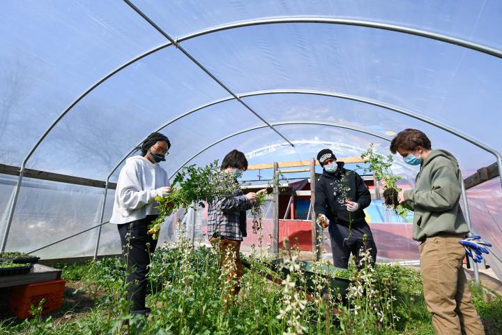 Students learning about urban farming 