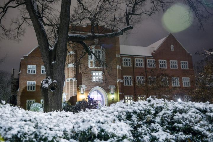 Fletcher in snow during the winter