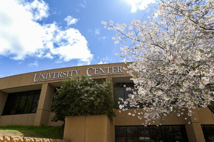 University Center Trees