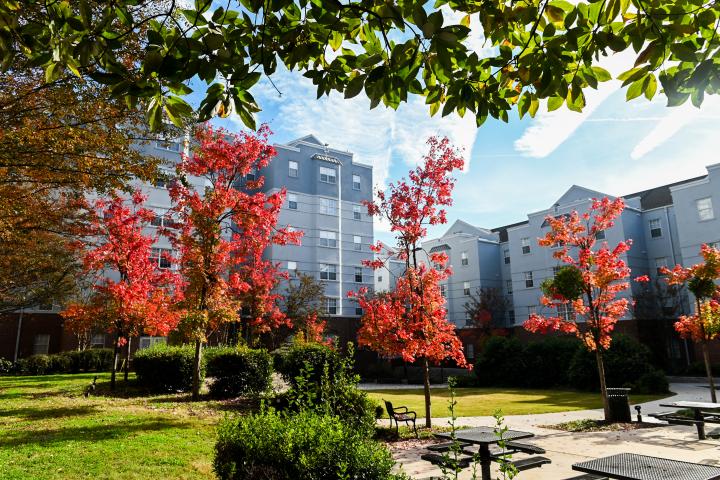 Walker/UCF courtyard with fall leaves