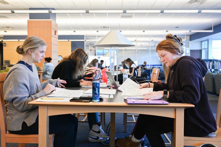 Library Study