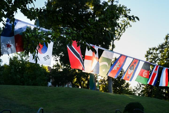 International Flags