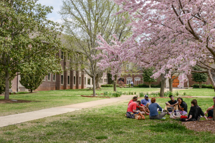 Students attending class outside