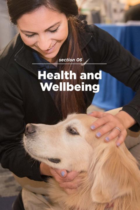 Section 6 Health and Wellbeing 
