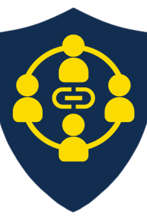 Faculty Fellow in Communities of Practice badge