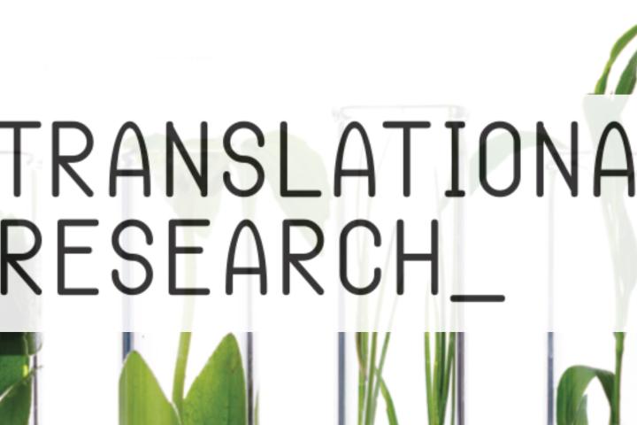 Transitional Research Poster Image