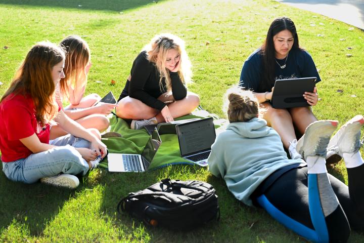 Students sitting studying together on the quad