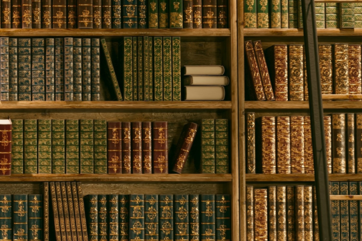 library books on a shelf