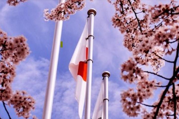 Japanese flag and flowers