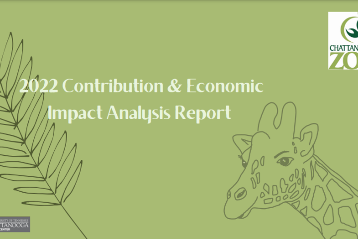Tourism Center Market Analysis Tourism Center Market Analysis