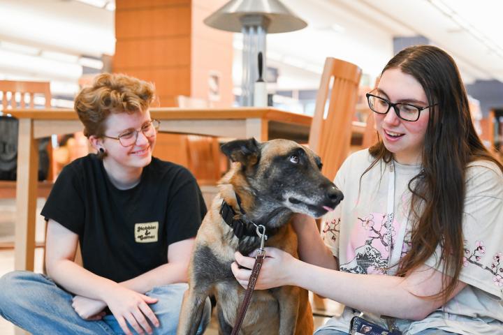 UTC students petting a therapy dog in the library