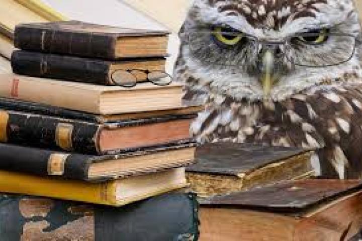 Stack of books with owl