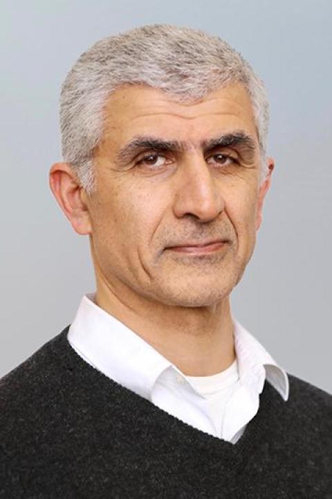 Professional photo of Hossein Sadeghpour
