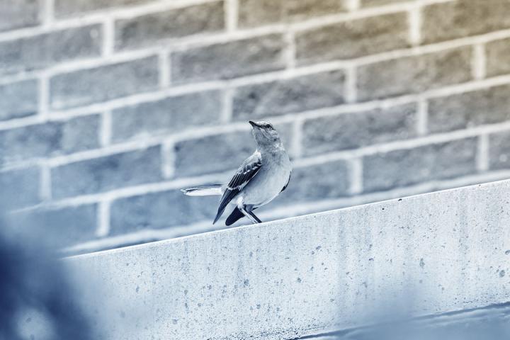 Request updates to headshots, location, and contact information 