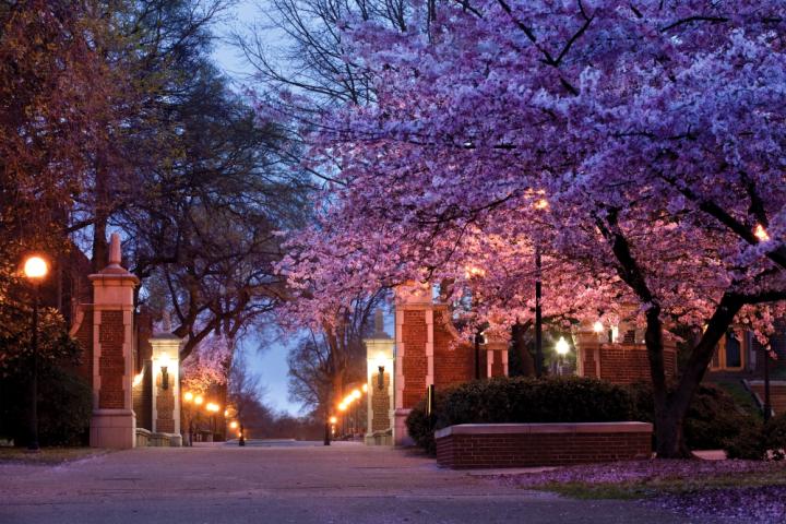 resources-for-utc-undergraduates-125th-anniversary-book-oak-street-spring.