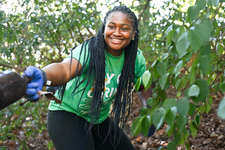 UTC student volunteer clearing brush during a community service event