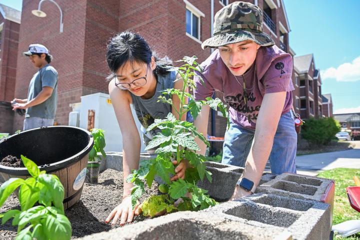 Two students plant a tomato seedling in a raised garden bed made of cinder blocks during a UTC Earth Day event, with basil plants and a soil-filled pot nearby.