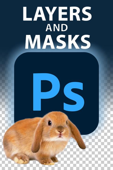 PS layers and masks with image of bunny