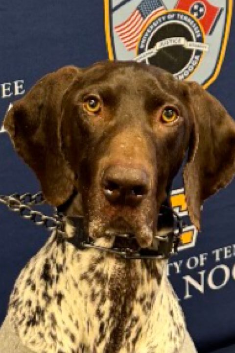 K9 Gunny