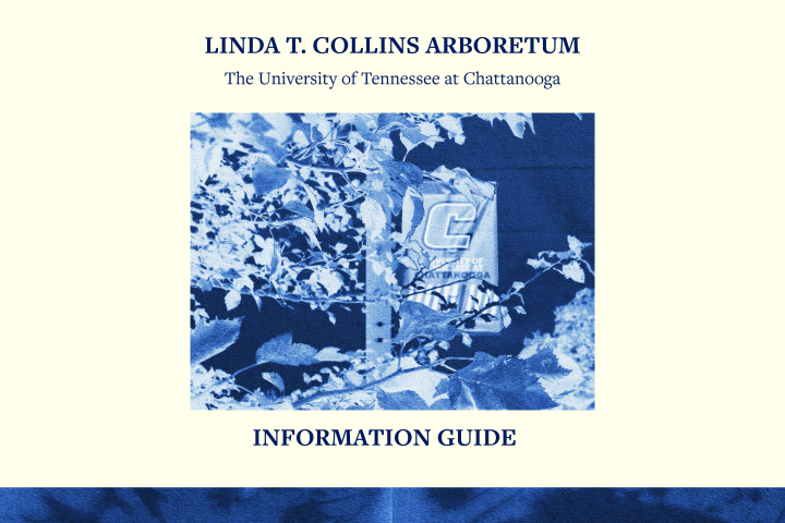 Version2_Brochure_image