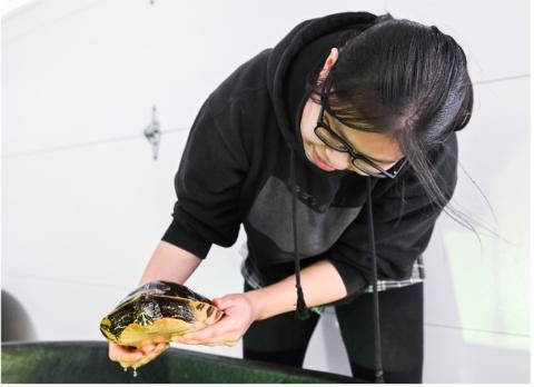 Student and Turtle 