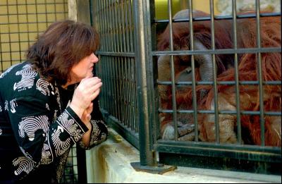Lyn Miles with orangutan