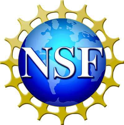 NSF Logo Transparent Background