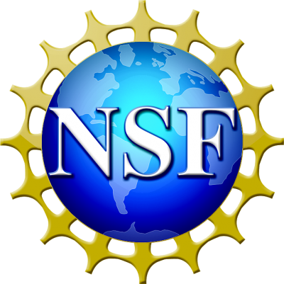 NSF Logo Transparent Background NSF Logo Transparent Background