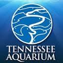 Tennessee Aquarium Tennessee Aquarium Logo