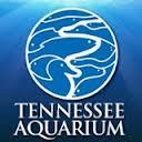 Tennessee Aquarium Logo