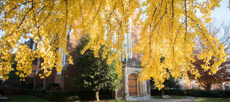 Campus fall of 2017