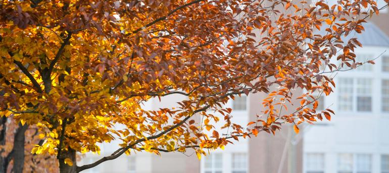 Campus Fall 2016