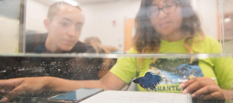 animal behavior two students studying