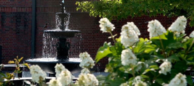 Cayuse Homepage Header View of Fountain at Crossroads Diner