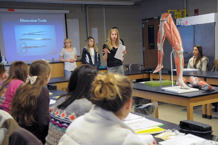 Students learning anatomy