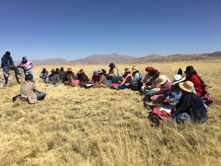 Group in field